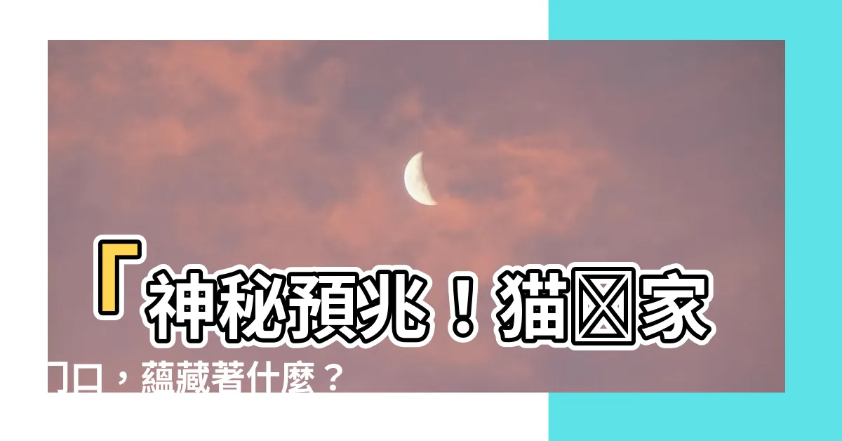 【貓來家門口】「神秘預兆！貓來家門口，藴藏著什麼？」