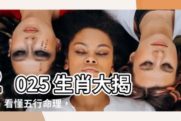 【2025 生肖】2025 生肖大揭密！看懂五行命理，打造未來好運！