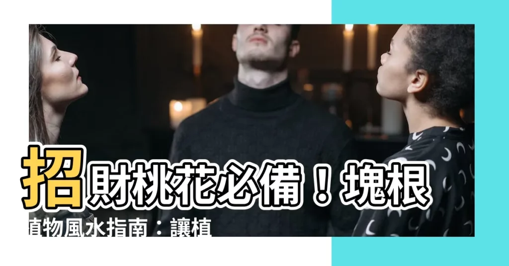 【塊根植物 風水】招財桃花必備！塊根植物風水指南：讓植物為你開運