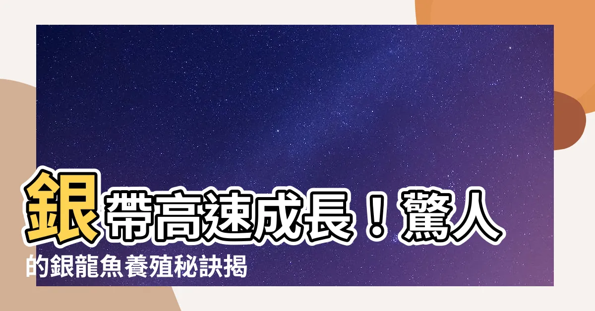 【銀帶成長速度】銀帶高速成長！驚人的銀龍魚養殖秘訣揭密