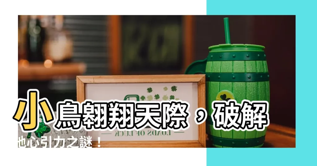 【小鳥 飛】小鳥翱翔天際，破解地心引力之謎！