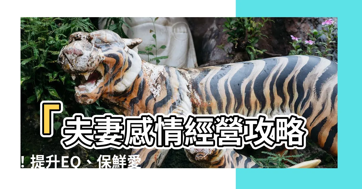 【夫妻感情經營】「夫妻感情經營攻略！提升EQ、保鮮愛情，關鍵是這5個技巧！」
