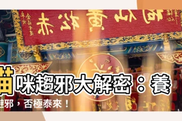 【養貓避邪】貓咪趨邪大解密：養貓避邪，否極泰來！