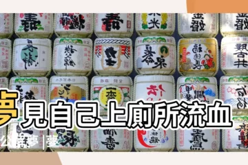 【夢見公司廁所有血】夢見自己上廁所流血 |周公解夢 |夢見廁所裏有血 |