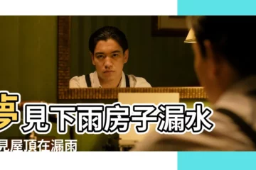 【夢下雨屋頂漏雨】夢見下雨房子漏水 |夢見屋頂在漏雨 |夢見下雨房子漏雨 |