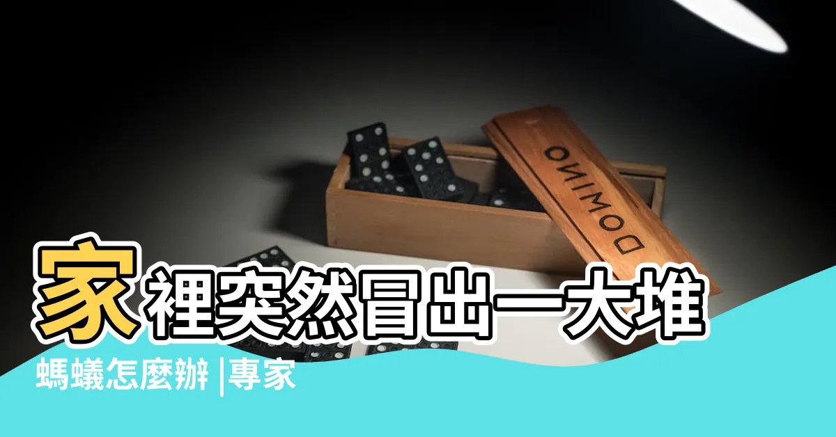 【廚房 螞蟻】家裡突然冒出一大堆螞蟻怎麼辦 |專家教你用3個便宜好物 |滅蟻方法丨7招消滅廚房螞蟻DIY天然成份蟻餌 |