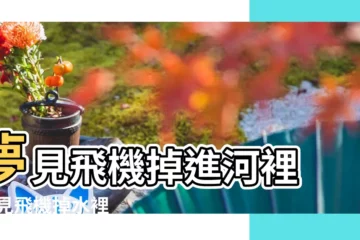 【夢見飛機掉進河裏】夢見飛機掉進河裡 |夢見飛機掉水裡 |夢見飛機掉進河裏 |