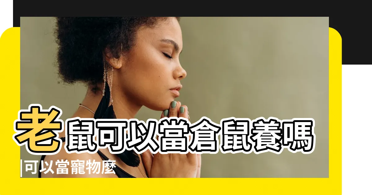 【老鼠可以養嗎】老鼠可以當倉鼠養嗎 |可以當寵物麼 |問一個笨問題 |