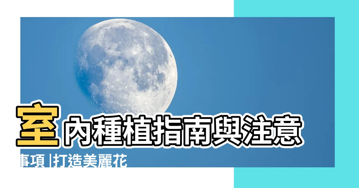 【白花天堂鳥室內】室內種植指南與注意事項 |打造美麗花園的秘訣 |焦邊處理 |