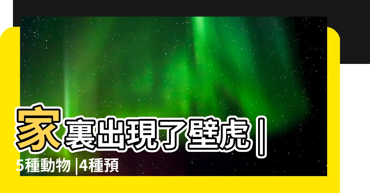【房間有壁虎是好事嗎】家裏出現了壁虎 |5種動物 |4種預兆要 |