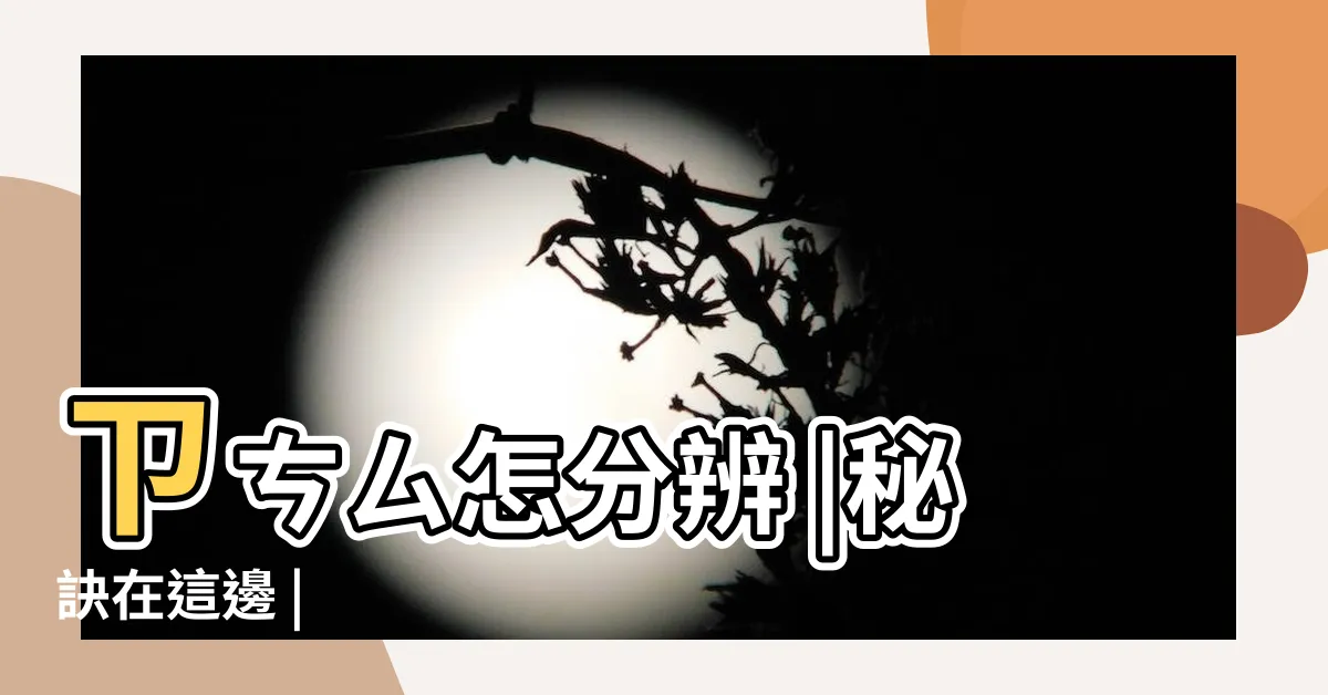 【雋 筆劃】ㄗㄘㄙ怎分辨 |秘訣在這邊 |
