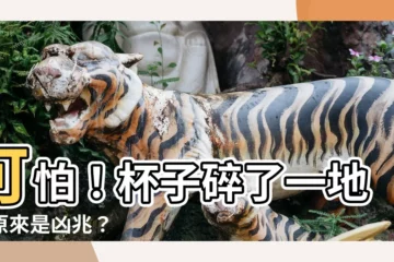 【杯子碎了】可怕！杯子碎了一地，原來是凶兆？