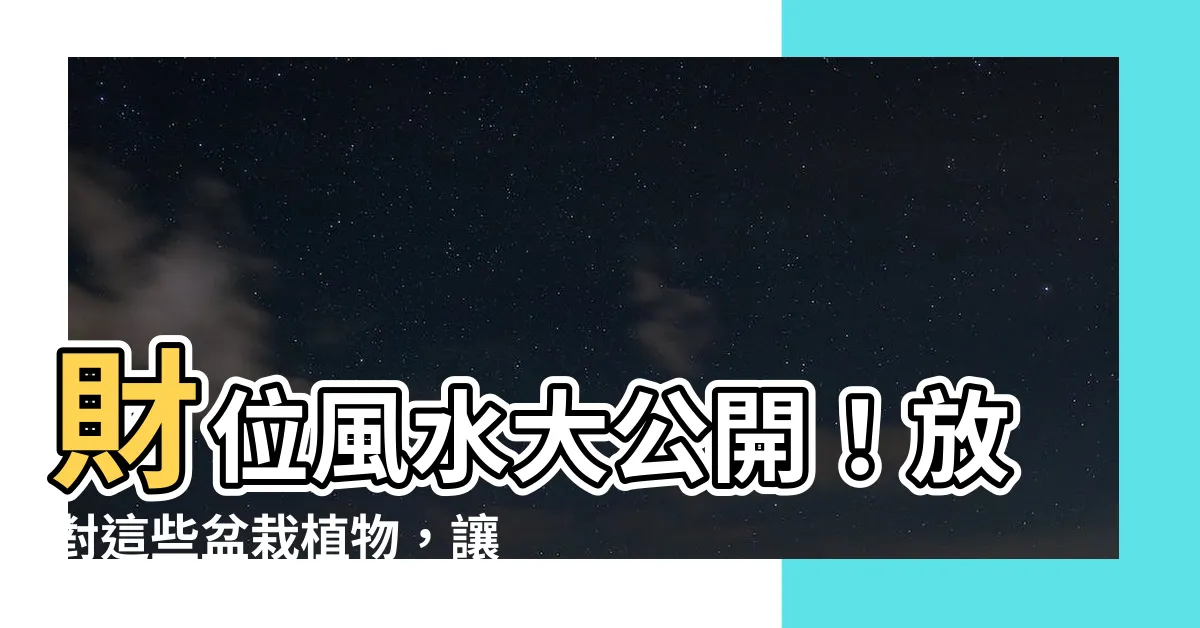 【房間盆栽風水】財位風水大公開！放對這些盆栽植物，讓你財運滾滾來