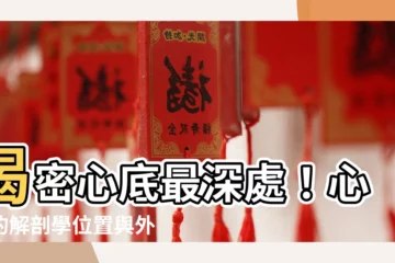 【心底 位置】揭密心底最深處！心臟的解剖學位置與外形大公開