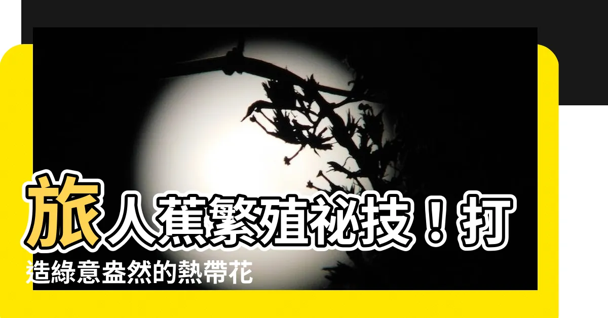 【旅人蕉繁殖】旅人蕉繁殖秘技！打造綠意盎然的熱帶花園