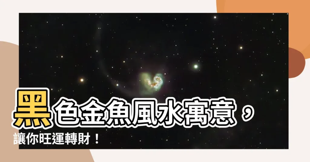 【黑色的魚】黑色金魚風水寓意，讓你旺運轉財！