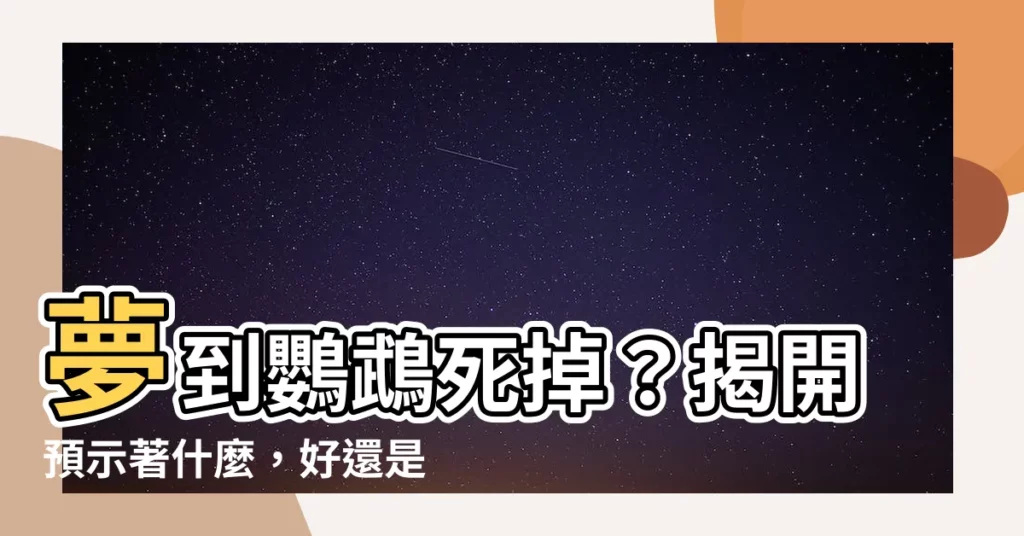 【夢到鸚鵡死掉】夢到鸚鵡死掉？揭開預示著什麼，好還是壞？