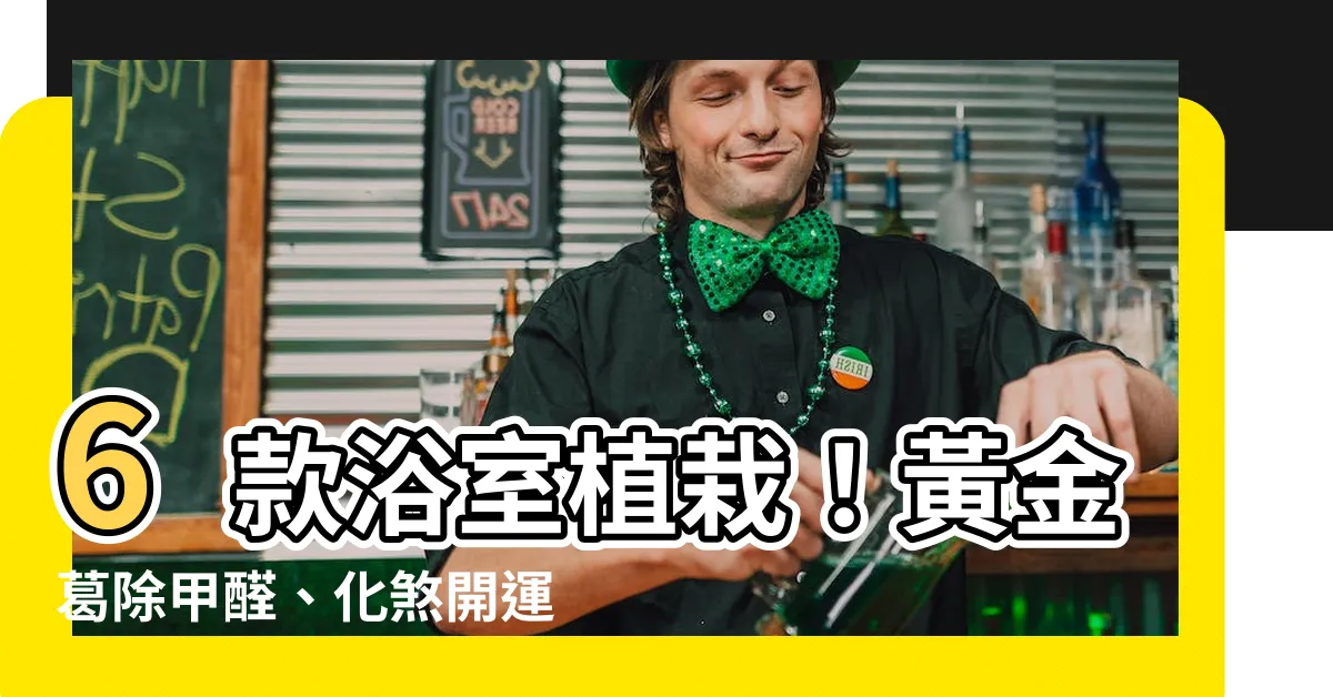 【浴室植栽】6款浴室植栽！黃金葛除甲醛、化煞開運，讓你浴室更美觀又舒適！