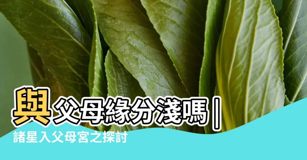 與父母緣分淺嗎 |諸星入父母宮之探討 |紫微斗數天空在父母宮好不好 |【天空入父母宮】