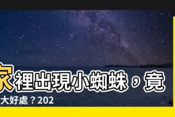 【家裡 出現 小 蜘蛛 風水】家裡出現小蜘蛛，竟有8大好處？2024年最新風水解密！