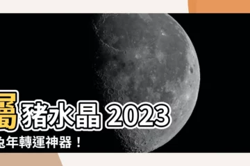 【屬豬水晶2023】屬豬水晶 2023：兔年轉運神器！