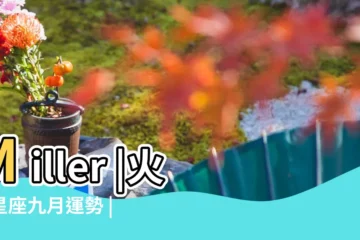 【2017年9月3獅子座蘇珊】Miller |火象星座九月運勢 |蘇珊米勒 |