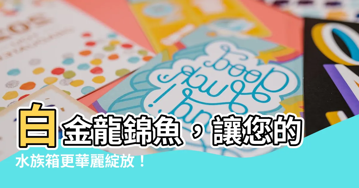 【龍錦魚】白金龍錦魚，讓您的水族箱更華麗綻放！馬上搶購優惠中！