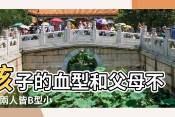 【什麼四血型生ab型孩子】孩子的血型和父母不同 |兩人皆B型小孩卻是AB型 |夫妻血型遺傳表公開 |
