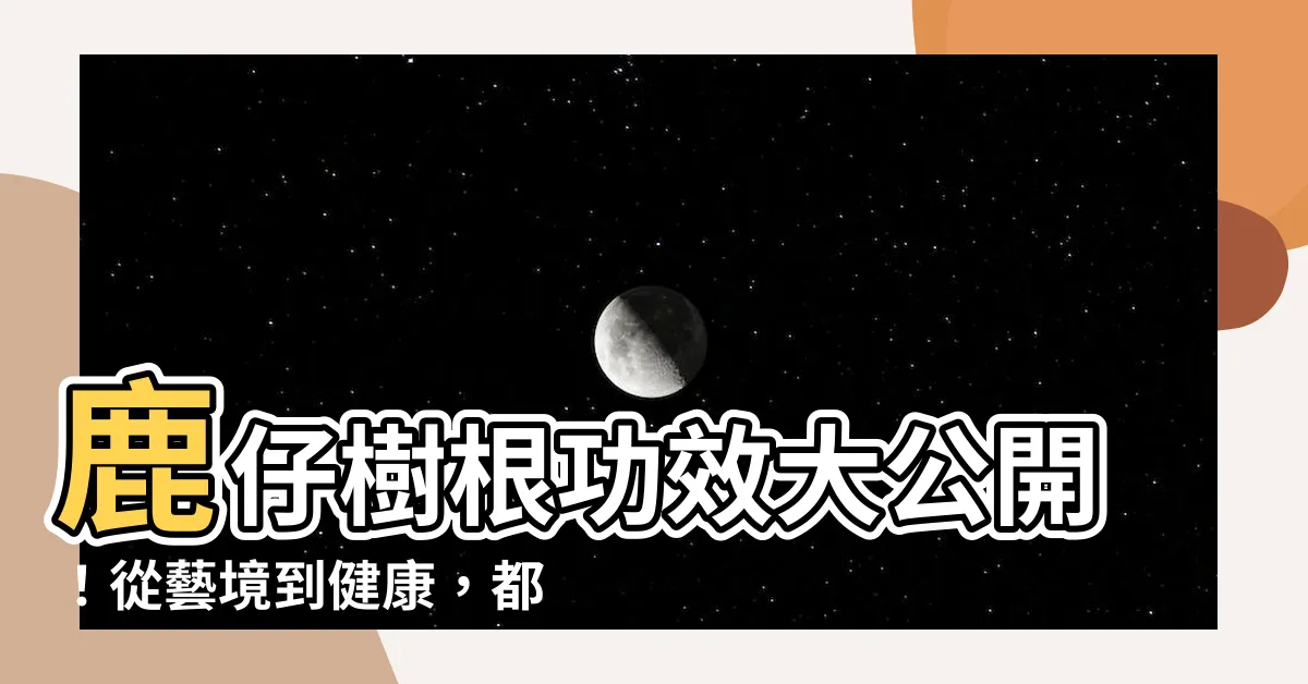 【鹿仔樹根功效】鹿仔樹根功效大公開！從藝境到健康，都值得你的關注