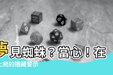 【夢見蜘蛛在身上】夢見蜘蛛？當心！在身上爬的隱藏警示