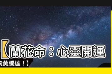 【蘭花命】【蘭花命：心靈開運，飛黃騰達！】