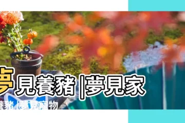 【夢見家裏養小狗雞豬】夢見養豬 |夢見家裡養豬 |夢見寵物豬 |