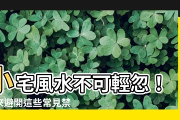 【小宅風水】小宅風水不可輕忽！快來避開這些常見禁忌，住得順心又旺財！