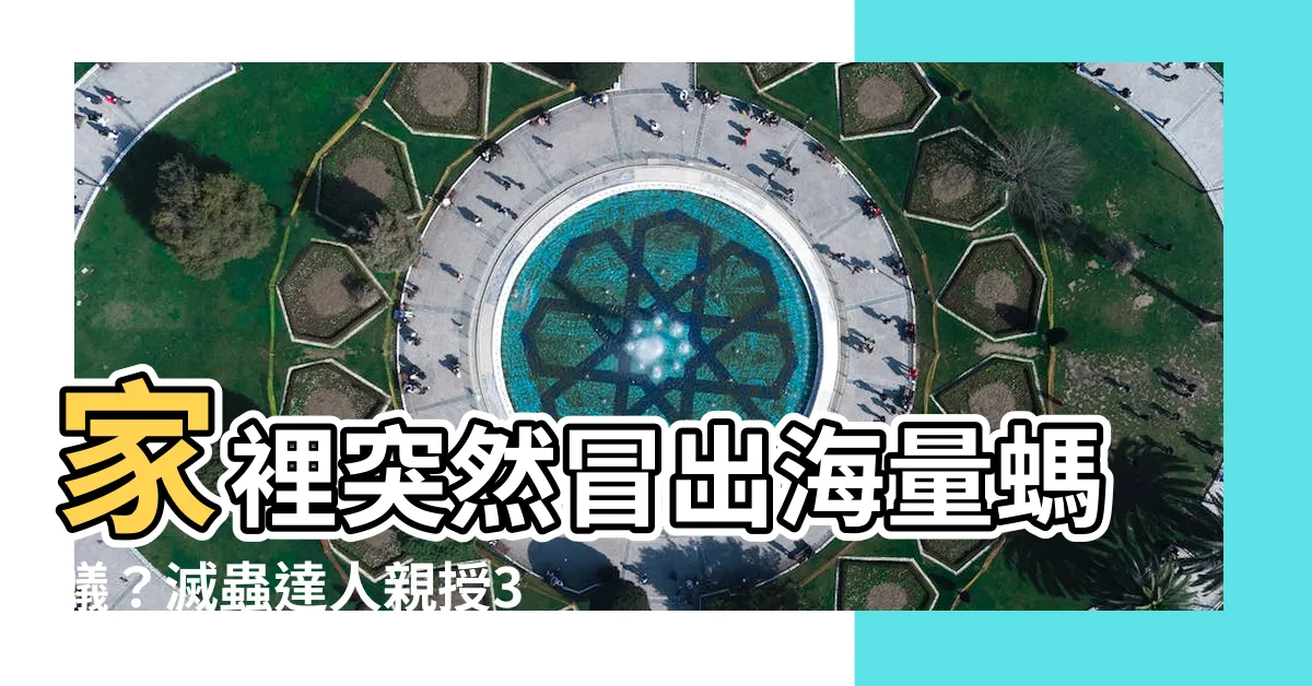 【家裡突然 很多螞蟻】家裡突然冒出海量螞蟻？滅蟲達人親授3招消滅螞蟻大軍！
