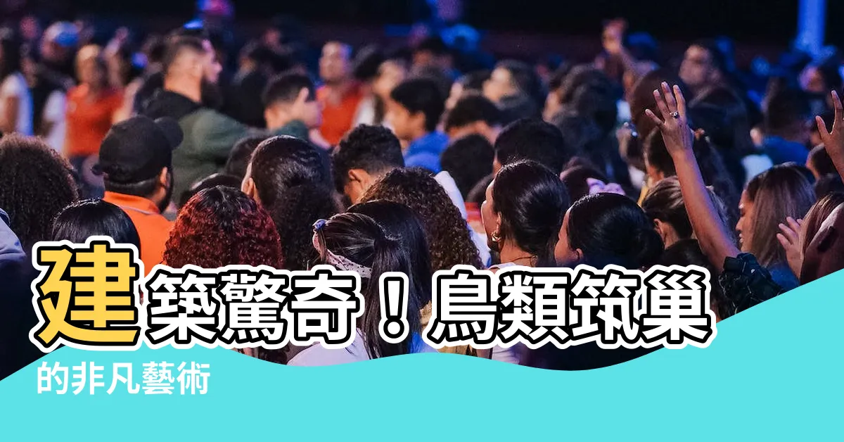【築巢】建築驚奇！鳥類築巢的非凡藝術