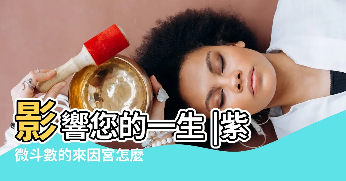 【來因宮免費查詢】影響您的一生 |紫微斗數的來因宮怎麼看 |第二步驟 |