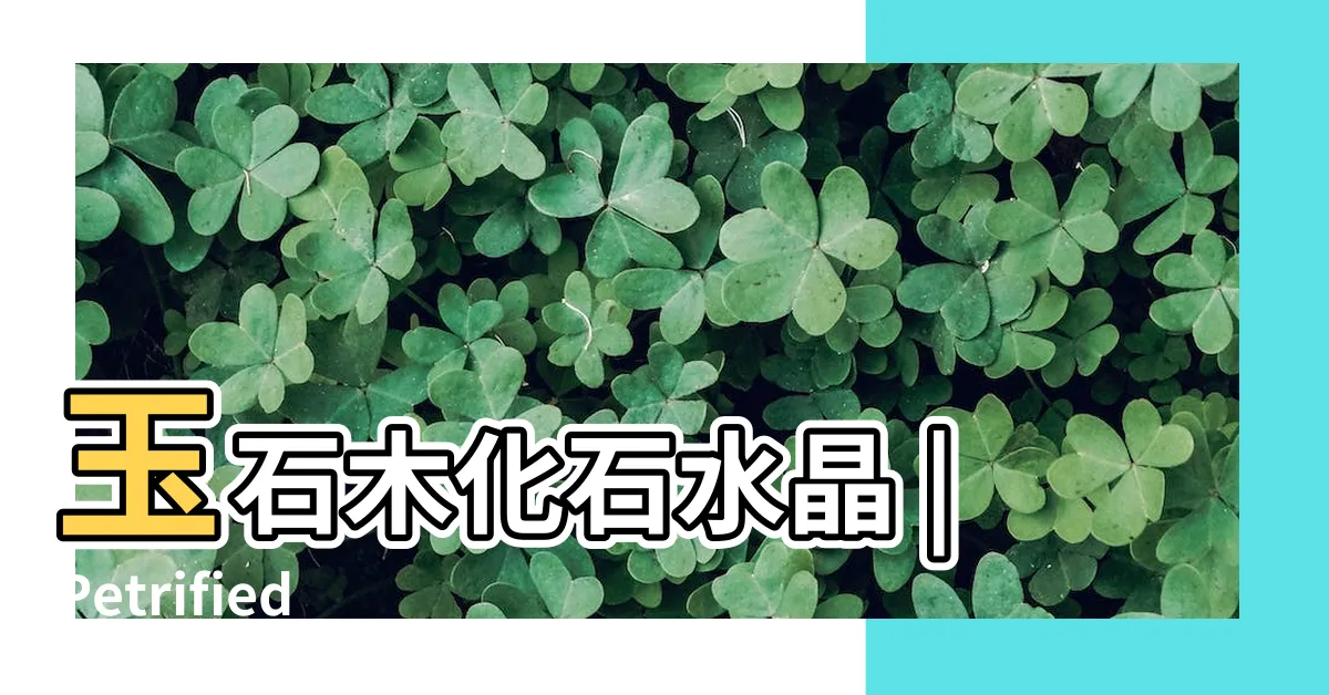 【木化石五行】玉石木化石水晶 |Petrified |木化石帶着能治什麼病 |