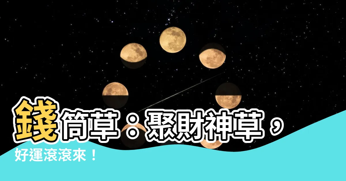 【錢筒草】錢筒草：聚財神草，好運滾滾來！