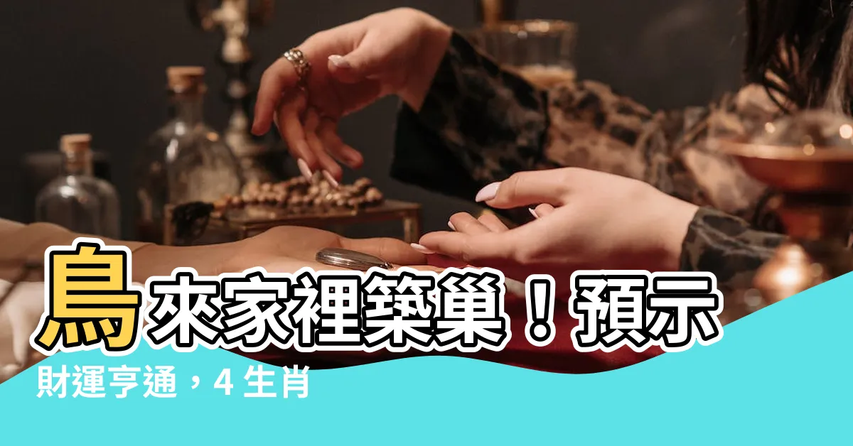 【鳥來家裡築巢】鳥來家裡築巢！預示財運亨通，4 生肖準備一飛沖天