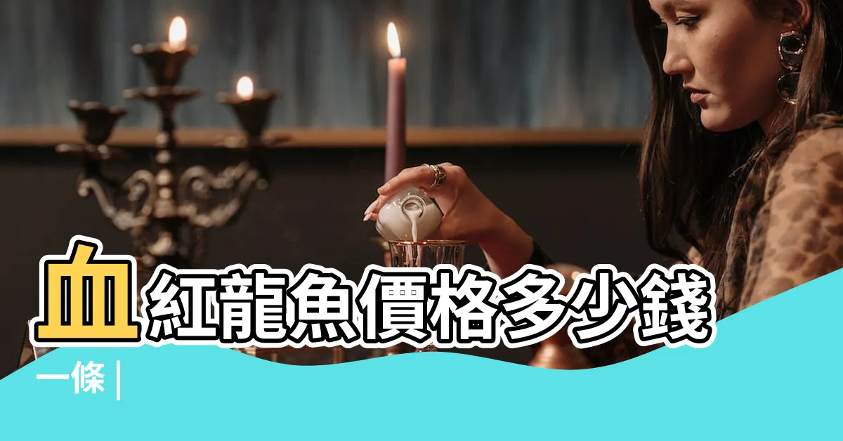 【血紅龍價格】血紅龍魚價格多少錢一條 |