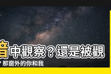 【看窗外的人】暗中觀察？還是被觀察？那窗外的你和我