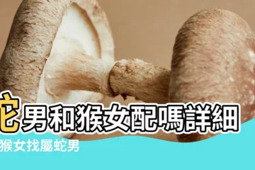 【女屬猴的和男屬蛇相配嗎】蛇男和猴女配嗎詳細 |屬猴女找屬蛇男合適嗎 |屬猴男人和屬蛇女人相配嗎 |