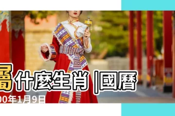 【農曆2000年1月9日】屬什麼生肖 |國曆2000年1月9日是農曆幾月幾日 |2000年1月9日出生時間看命運 |