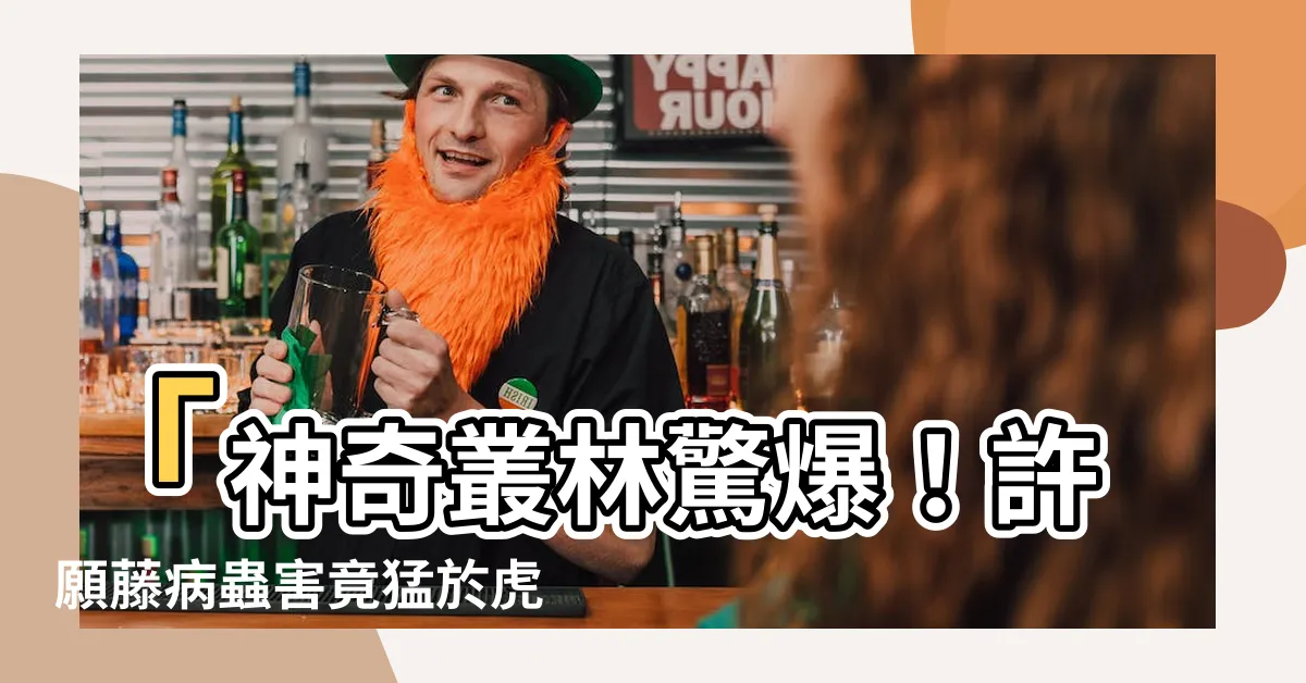 【許願藤病蟲害】「神奇叢林驚爆！許願藤病蟲害竟猛於虎！」
