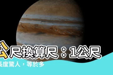 【尺和公尺】公尺換算尺：1公尺的長度驚人，等於多少尺？