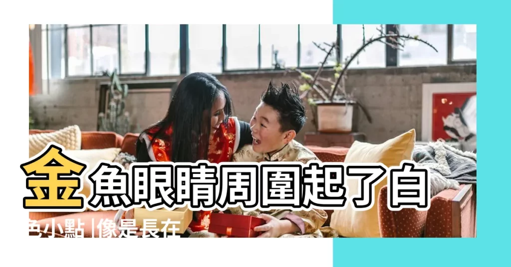 金魚眼睛周圍起了白色小點 |像是長在皮膚裏的 |金魚眼睛渾濁是腫麼了 |【金魚眼睛周圍白】