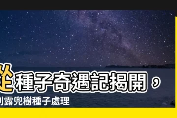 【紅刺露兜樹種子處理】從種子奇遇記揭開，紅刺露兜樹種子處理的蓁苓手作秘訣
