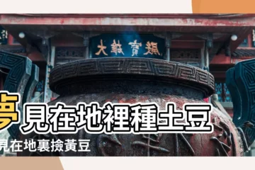 【夢見撿黃豆和玉米】夢見在地裡種土豆 |夢見在地裏撿黃豆 |夢見撿黃豆什麼意思 |