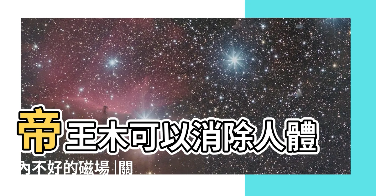 【帝王木風水】帝王木可以消除人體內不好的磁場 |關於帝王木你可能不知道的事 |帝王木黑金剛木手串風水擺件 |