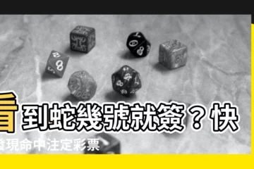 【看到蛇幾號】看到蛇幾號就簽？快來發現命中註定彩票號碼的秘密！